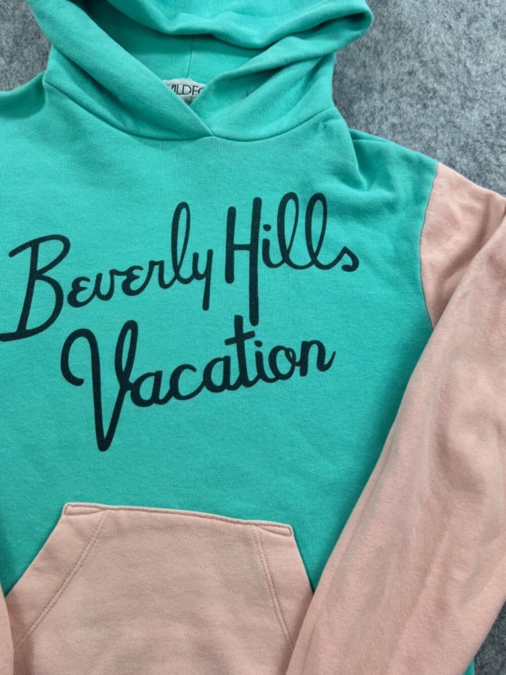 Wildfox Hoodie Sweatshirt Beverly Hills Vacation Sz S Pink Blue - Picture 3 of 9